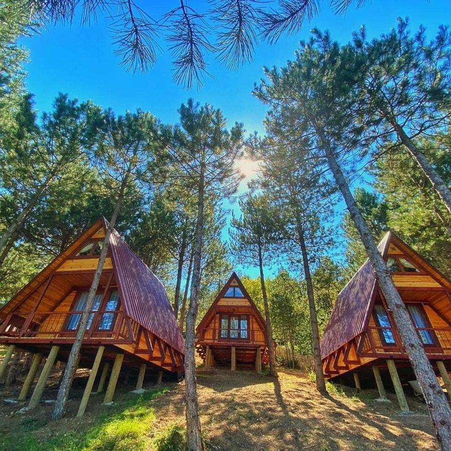 Fikri Atalay Konagi Bungalov Evleri Mengen Extérieur photo