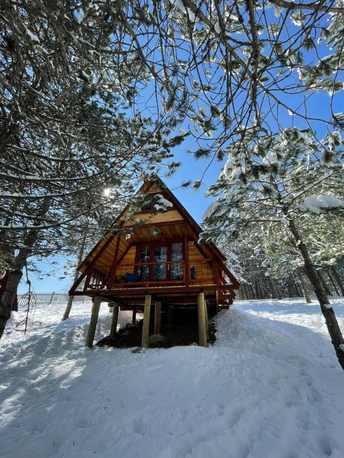 Fikri Atalay Konagi Bungalov Evleri Mengen Extérieur photo