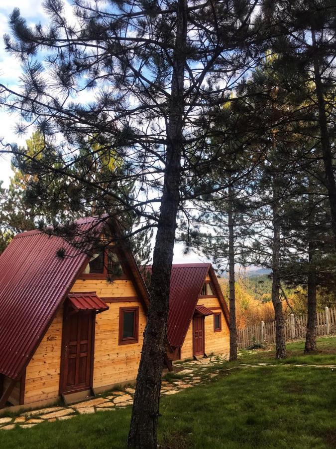 Fikri Atalay Konagi Bungalov Evleri Mengen Extérieur photo